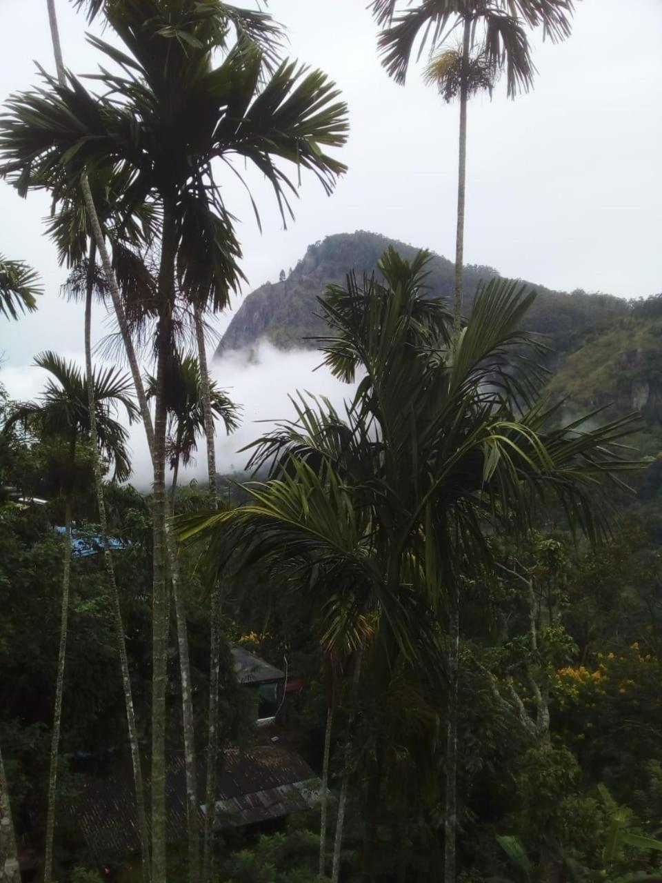 Bed and Breakfast Misty Heaven Ella Exterior foto