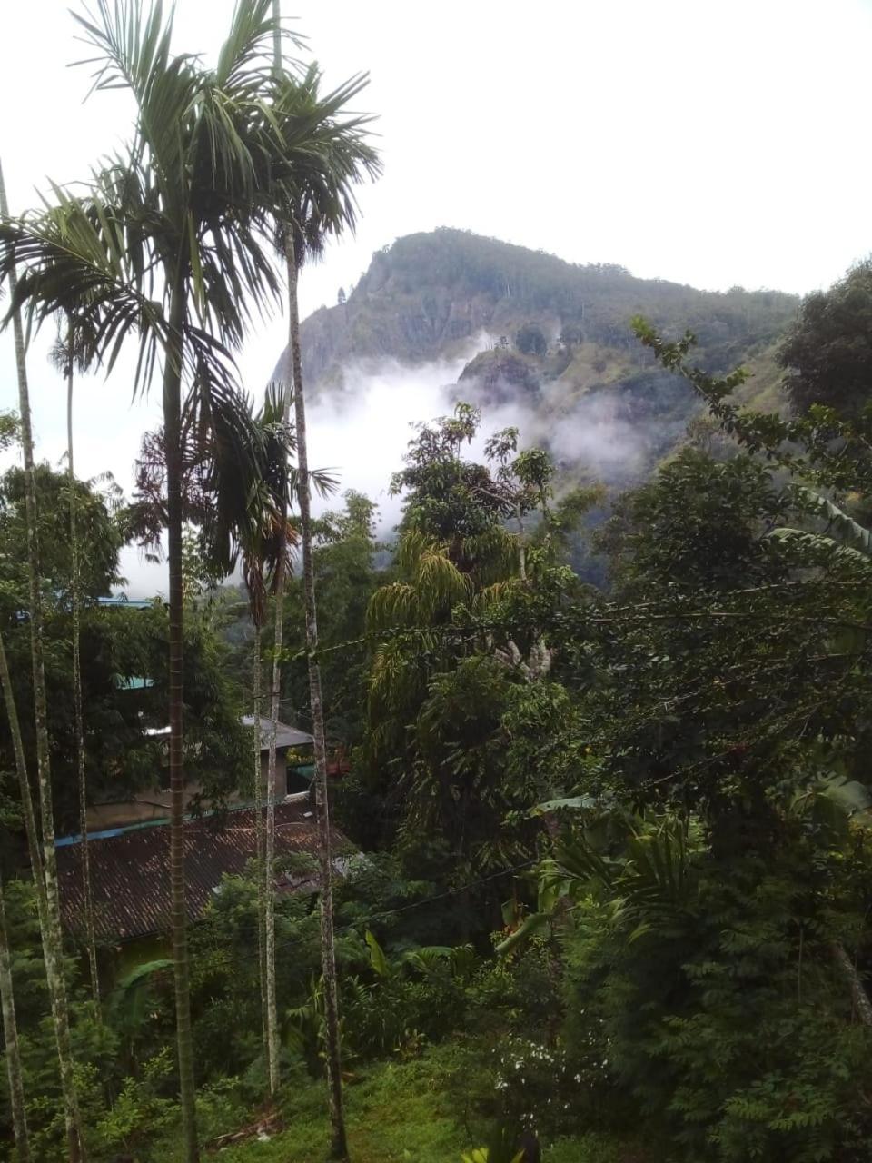 Bed and Breakfast Misty Heaven Ella Exterior foto